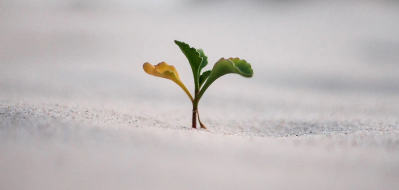 Encourage Yourself to Continue Growing