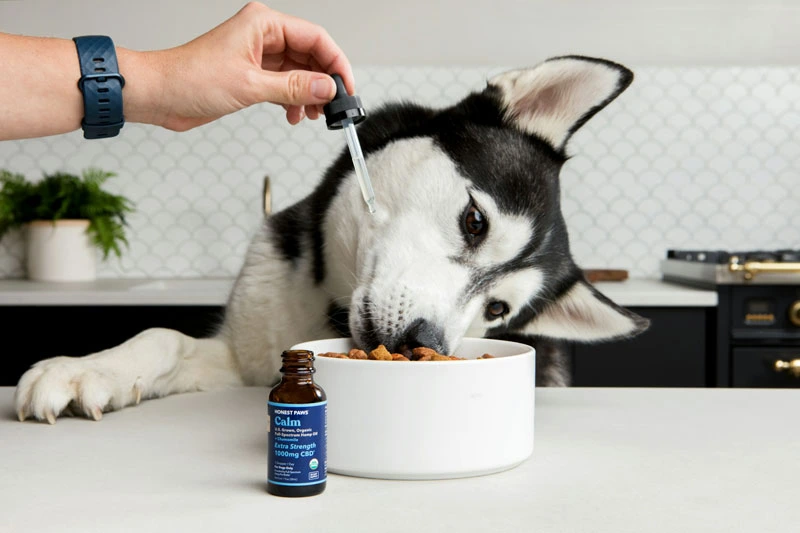 Pets zone store provides a line of supplements for dogs
