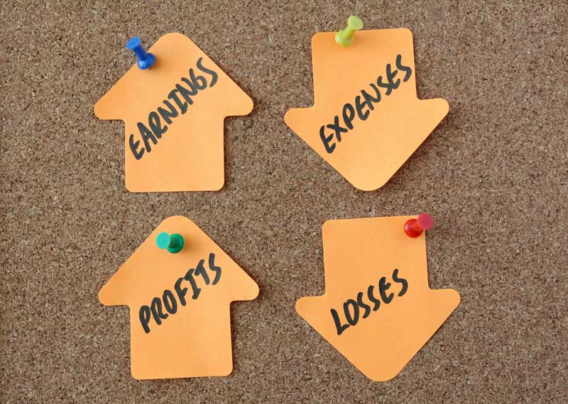 Profit and Loss Estimates