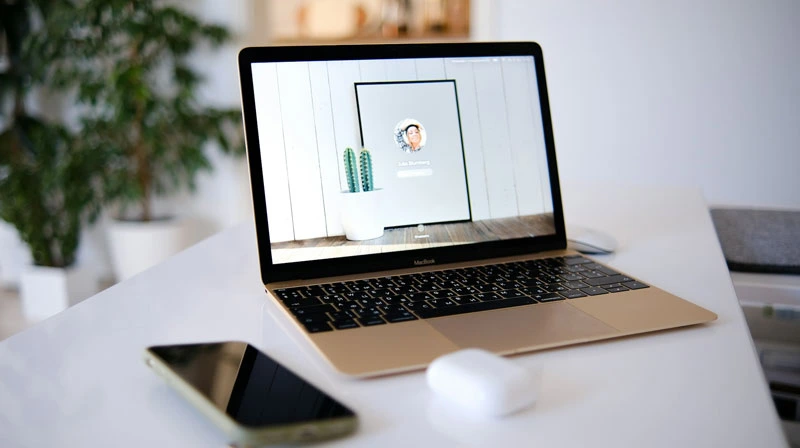 Showcase products or services in emails