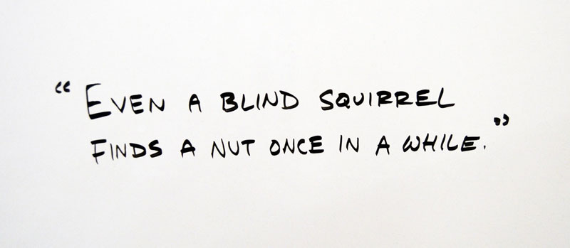 "Even a Blind Squirrel Finds A Nut Once in A While" - Quotes