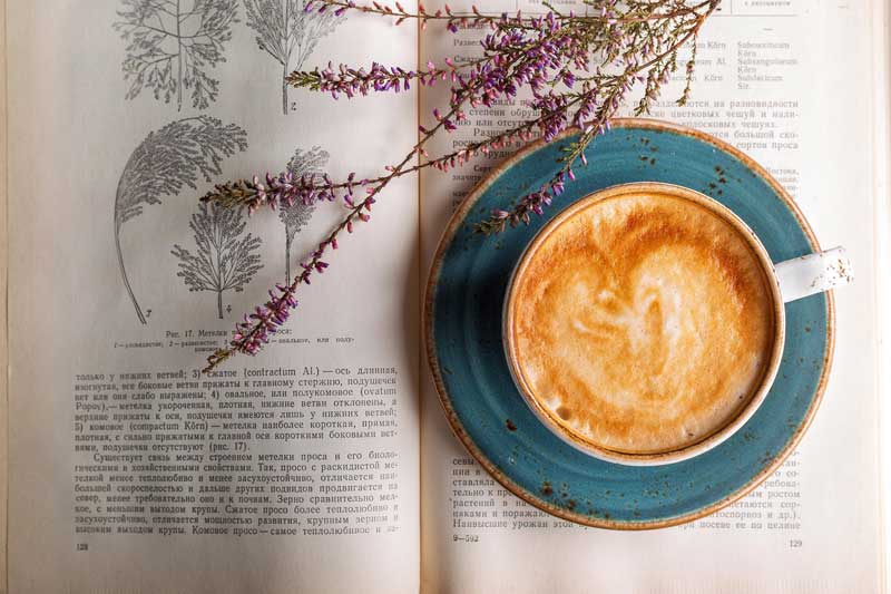 Examples of Aesthetic and Meaningful Coffee Quotes