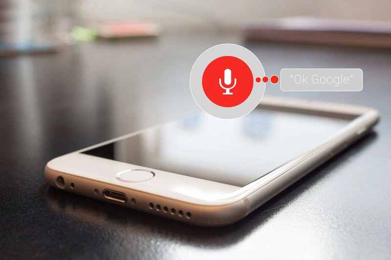 Voice assistant in Google